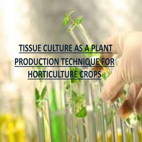 Plant Tissue Culture Technique and its applications