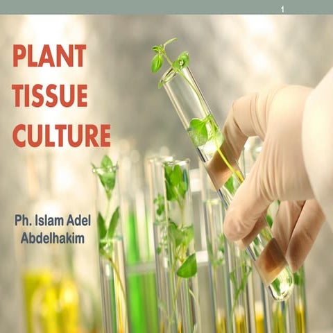 Plant tissue culture ppt