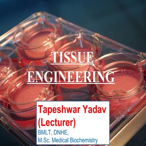 Tissue engineering