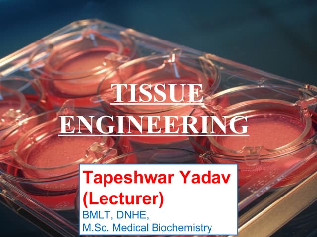 Tissue engineering