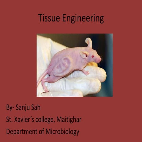 Tissue engineering