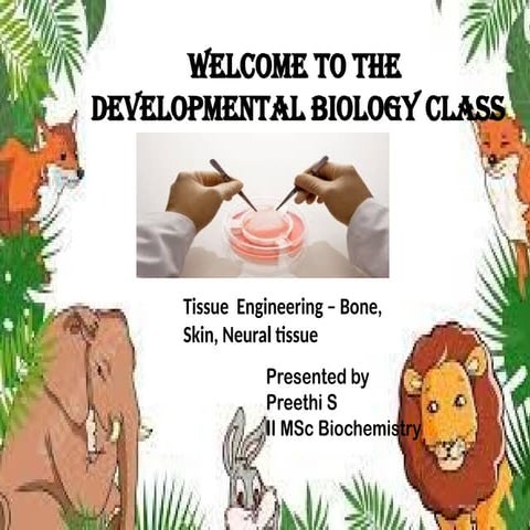 Tissue engineering for bone, skin and neural tissue