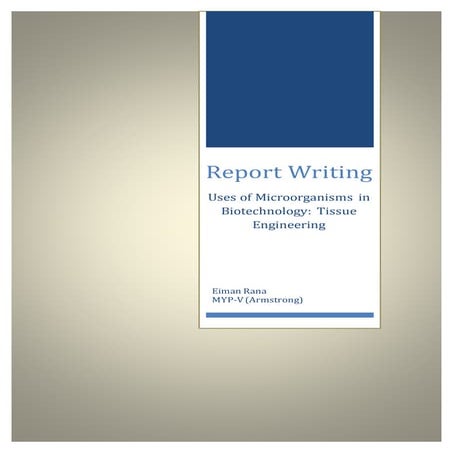 Tissue Engineering Report