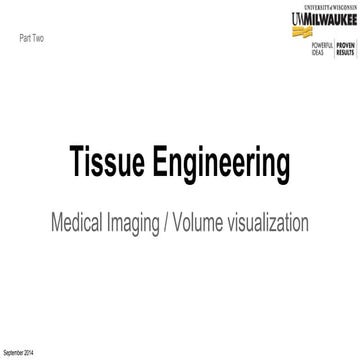 Tissue Engineering introduction for physicists - Lecture three
