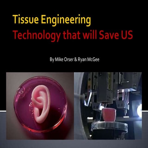 Tissue engineering