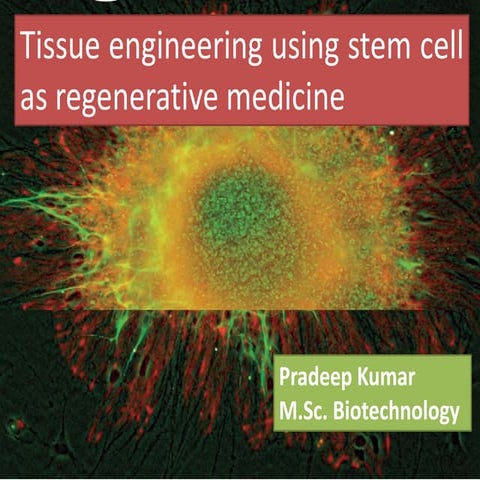 Tissue engineering and stem cell by regenerative medicine.pptx badal 2014