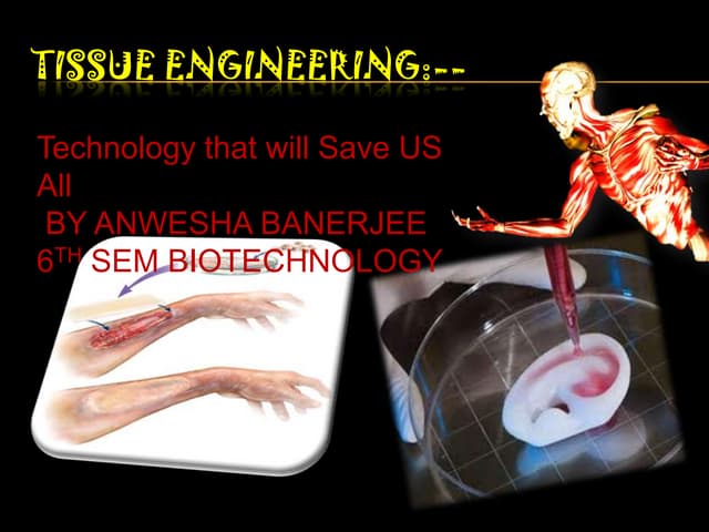 Tissue engineering by Anwesha Banerjee