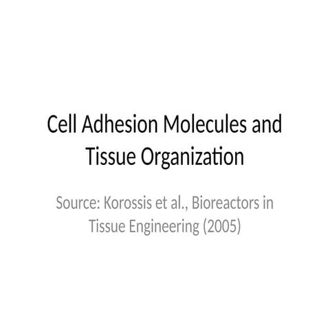 Tissue Engineering_Bioreactors_University Course_Mechanotransduction.pptx