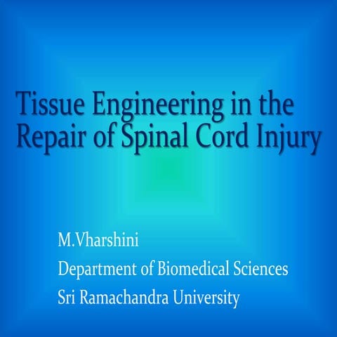 Tissue engineering in the repair of spinal cord