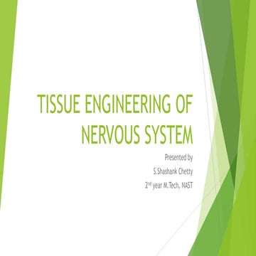 Tissue engineering of nervous system