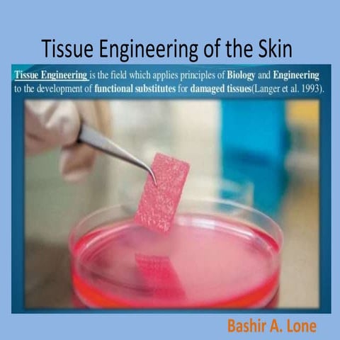 Tissue Engineering of the Skin.ppt