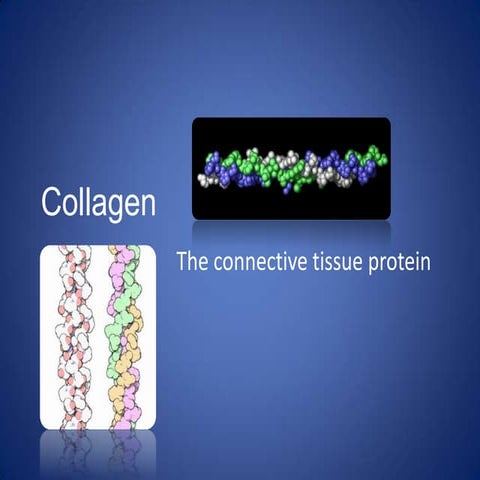 Collagen -Structure and Function 