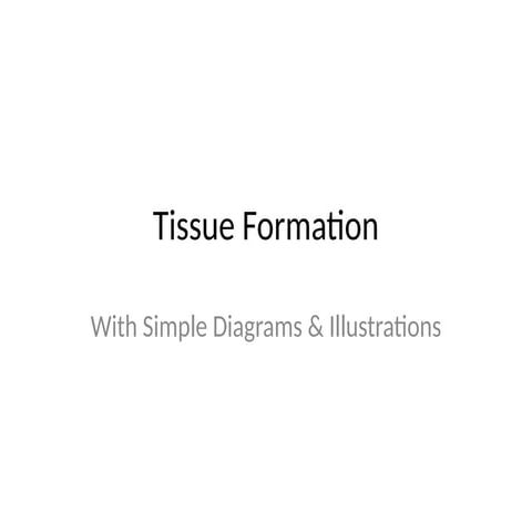 Tissue_Formation_with_Diagrams and .pptx