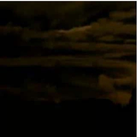 Tissue engineering biotechnology