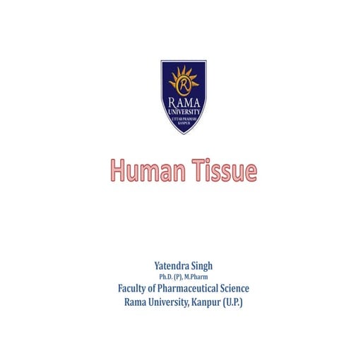 Human Tissue & its types