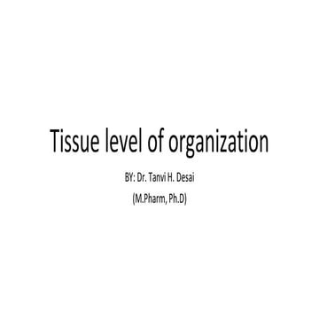Tissue level of organization.pdf