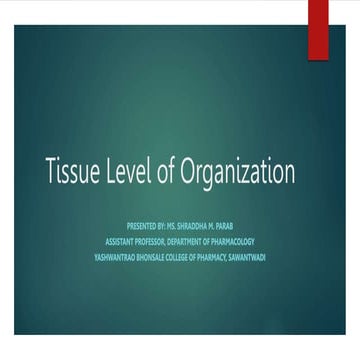The Tissue level of organization   .pptx