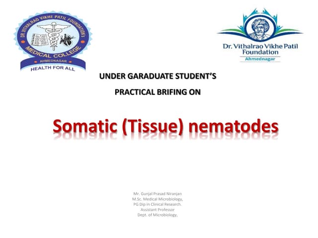 Tissue nematodes