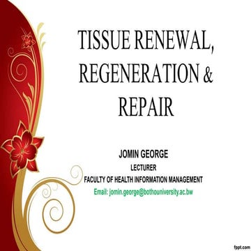 Tissue renewal