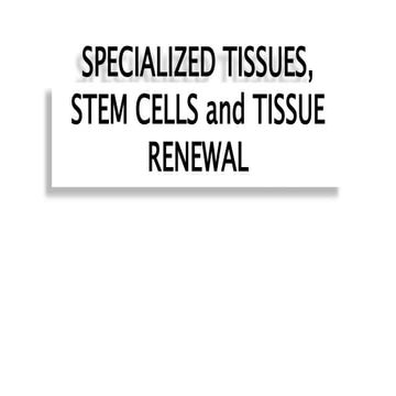 Specialized Tissues, Stem Cells and Tissue Renewal