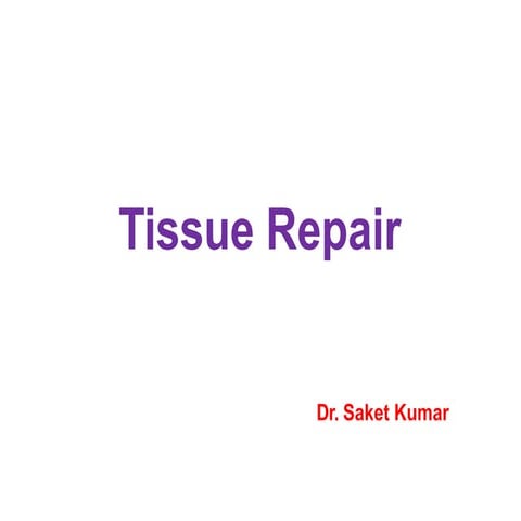 Tissue repair.pptx