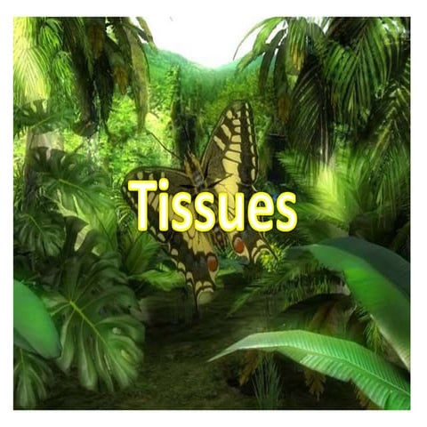 Tissues 