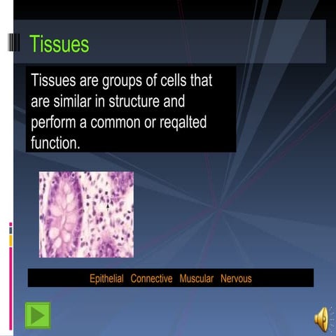 Tissues and integumentary ac | PPT