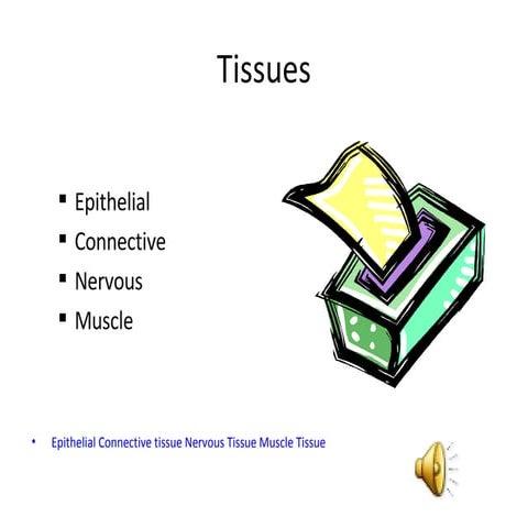 Tissues