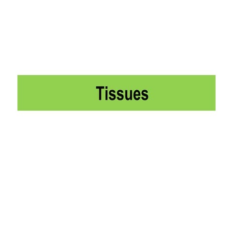 Tissues.ppt