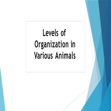 Animal Tissues , organs and organs syste