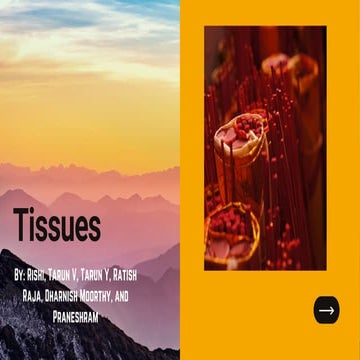 Tissuessdfggsdfgsdfgsdfgsdhystyhrtherherhertherth