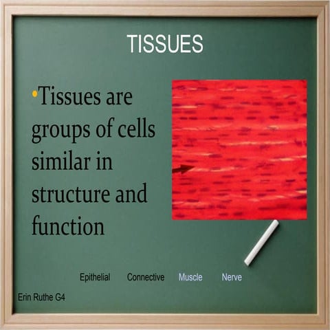 Tissues Proj | PPT