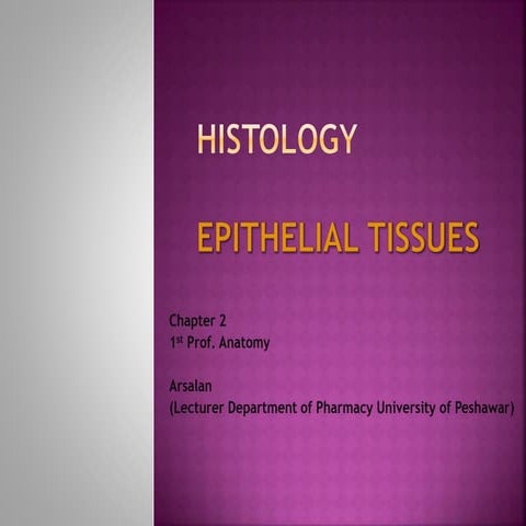 Tissues | PPT