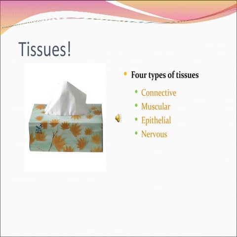 Tissues3
