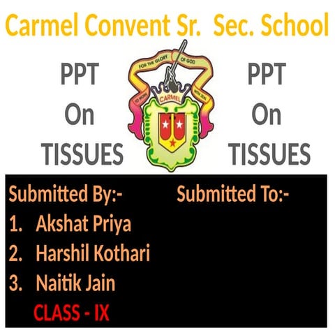 TISSUE POWERPOINT PRESENTATION CLASS NINE | PPTX