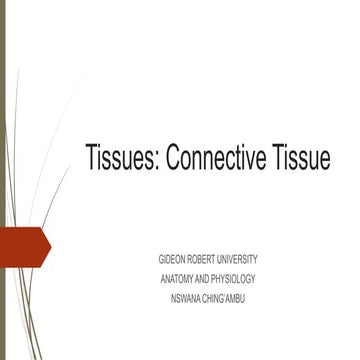 Tissues (connective tissue).pdf