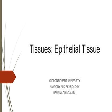 Tissues (epithelial tissue).pdf