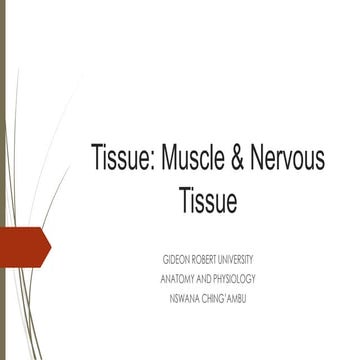 Tissue (smooth & nervous tissue).pdf