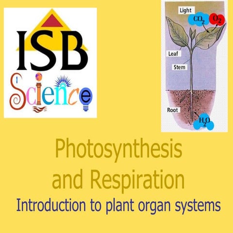 Tissues organs and systems in plants r1