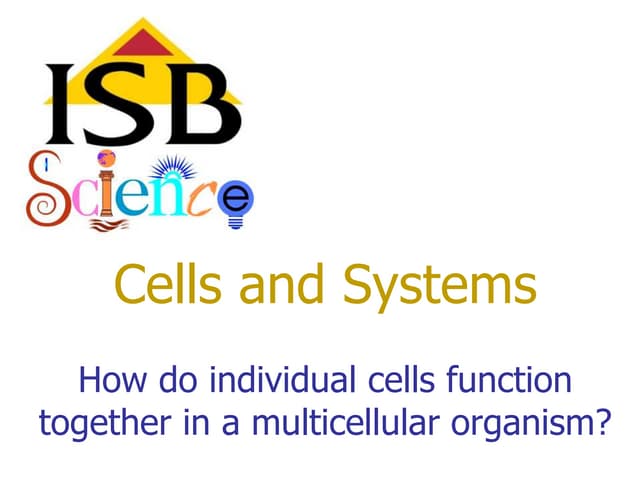 Tissues organs and systems r2