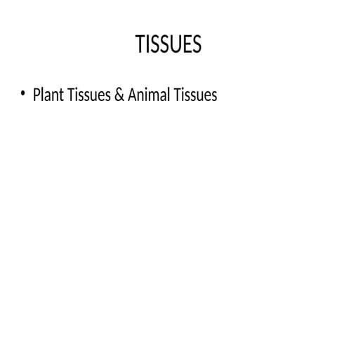 PLANT AND ANIMAL TISSUE CLASS 9 BIOLOGY PRESENTATION | PPTX