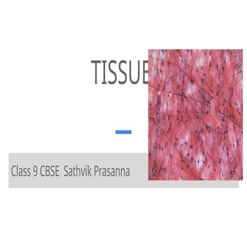 TISSUE (ultra new).pptx class 9 very much important