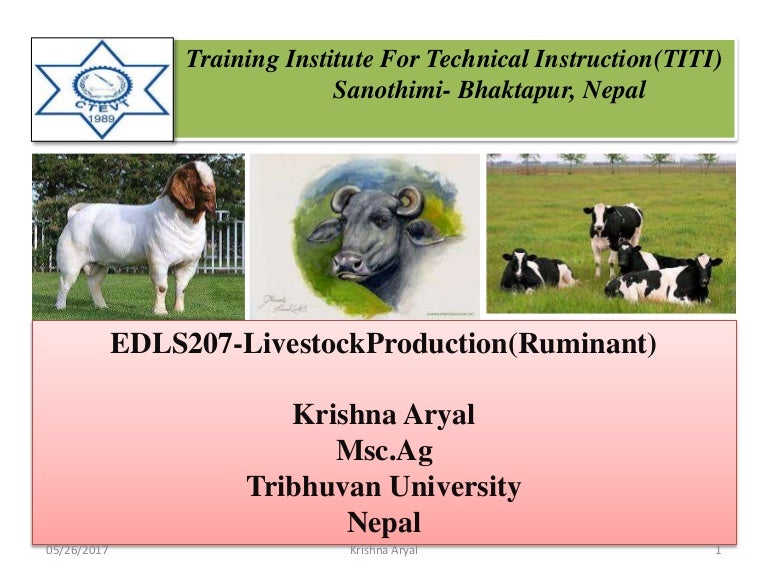 Ruminant Production