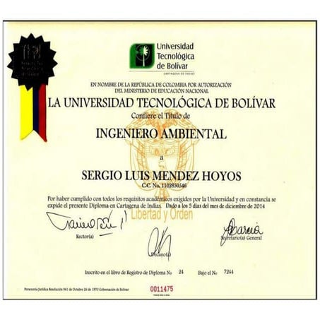 Fomato unico-hoja-de-vida-editable | DOC