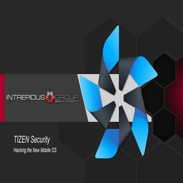 Tizen Security