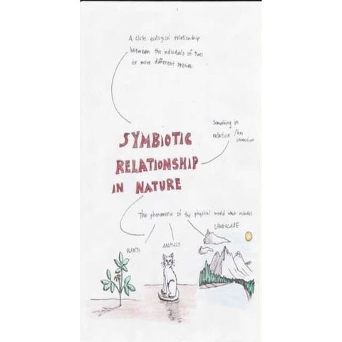 Symbiotic relationship in nature | PPTX