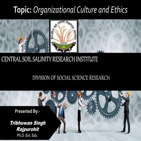 Organization Culture and Ethics