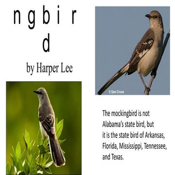 To Kill A Mockingbird 2014