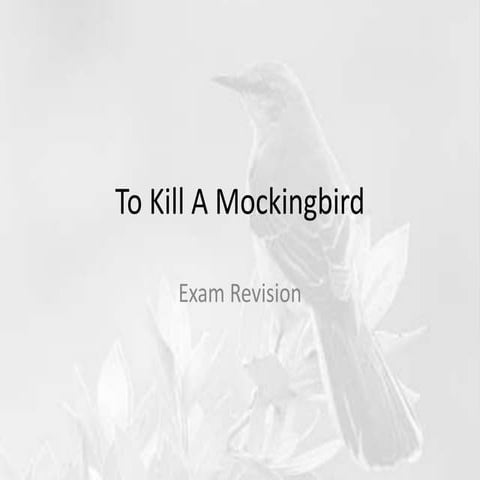 To Kill A Mockingbird - Revision