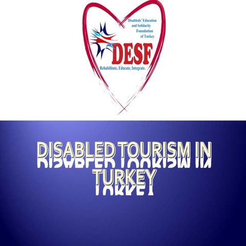 ICAT 2007: Travel & Disability in Turkey